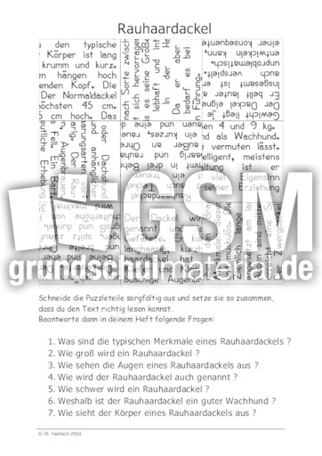Rauhaardackel.pdf